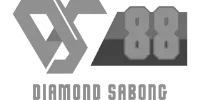 Visa Logo